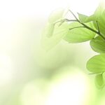 Home | Anleo Laser Creations Wall Art Home Decor